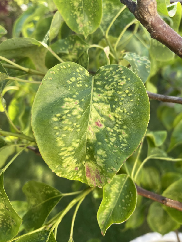 146B50B4-CB07-4F9D-9FDD-00AA97A9FC14