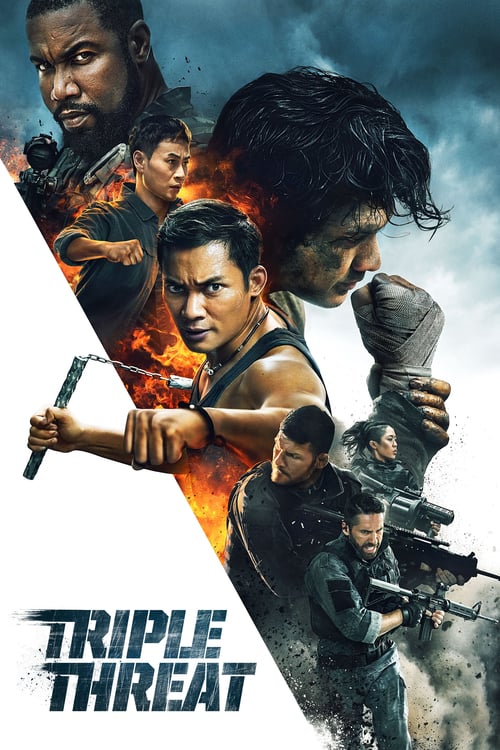 Triple-Threat-2019-1080p-Blu-Ray-AVC-DTS