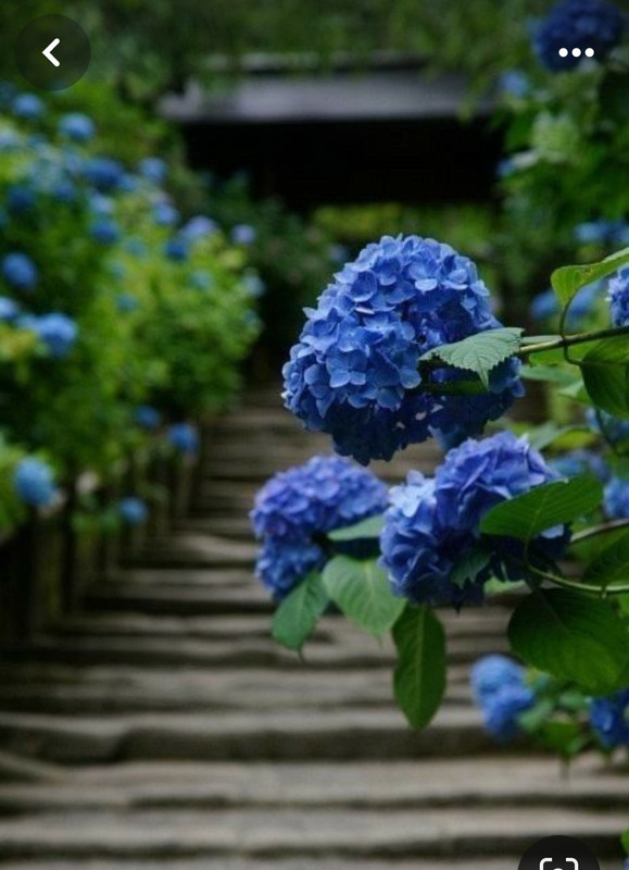 Screenshot_20240429_214008_Pinterest