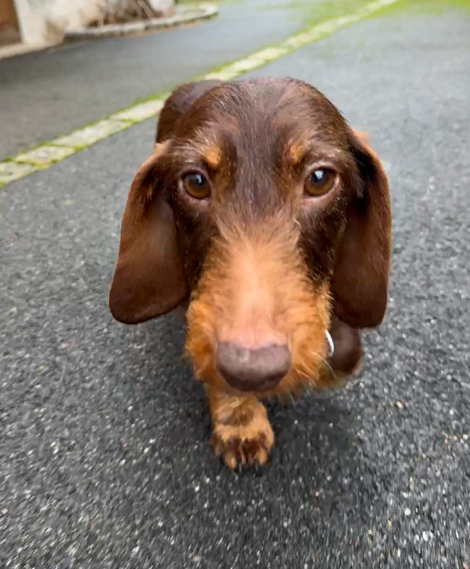 [Image: 8673-B4-F2-5386-4-BAA-A849-650-D398-F0585.jpg]