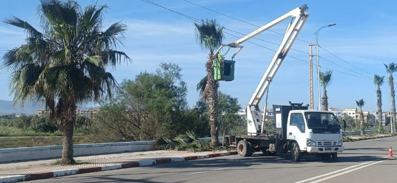 Screenshot-20260418-145619-Whats-App