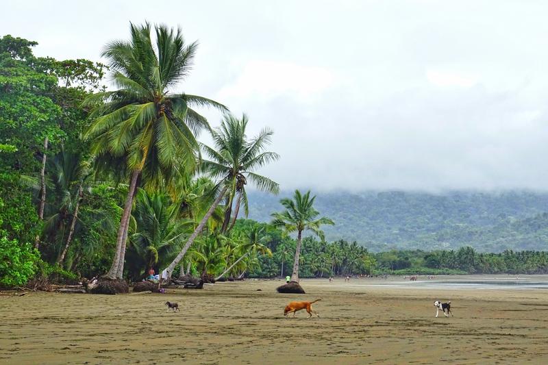 Día 15 Uvita Parque nacional Mariano ballena - 3 semanas Costa Rica en autobús 2018 Oct (5)