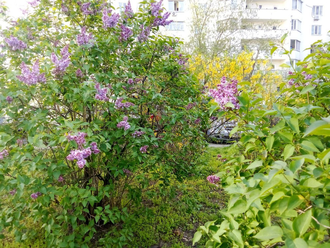 photo_2025-04-22 9.55.43 пп