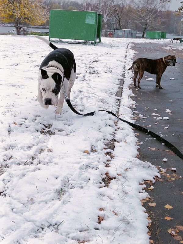 43988F1E-B869-4817-A60A-5D1682034014