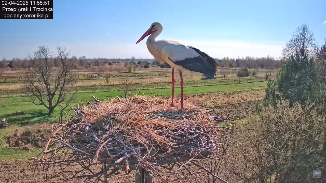 02042025krotkawizytabocka_14