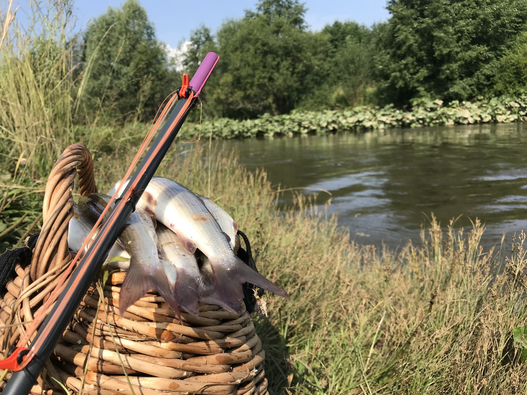 686FB26E-3481-4550-8566-A564DE0B2BFD