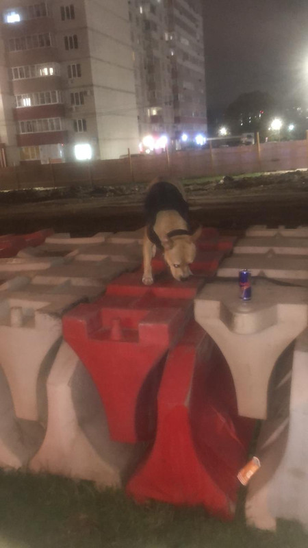 7CFD3881-E893-451B-9421-46B82A5EE036