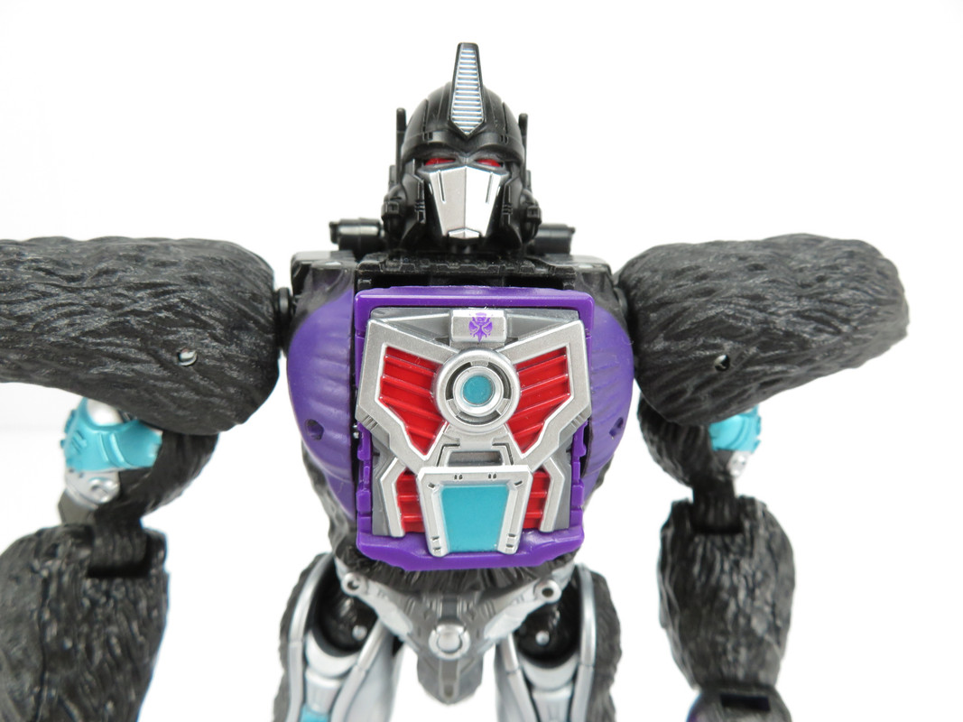 281452661_5983104488370727_7738543978298795933_n