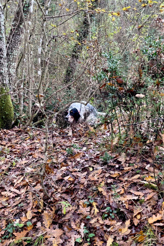 2F666CE1-4AEA-4BBB-B599-5BEC278F8B86