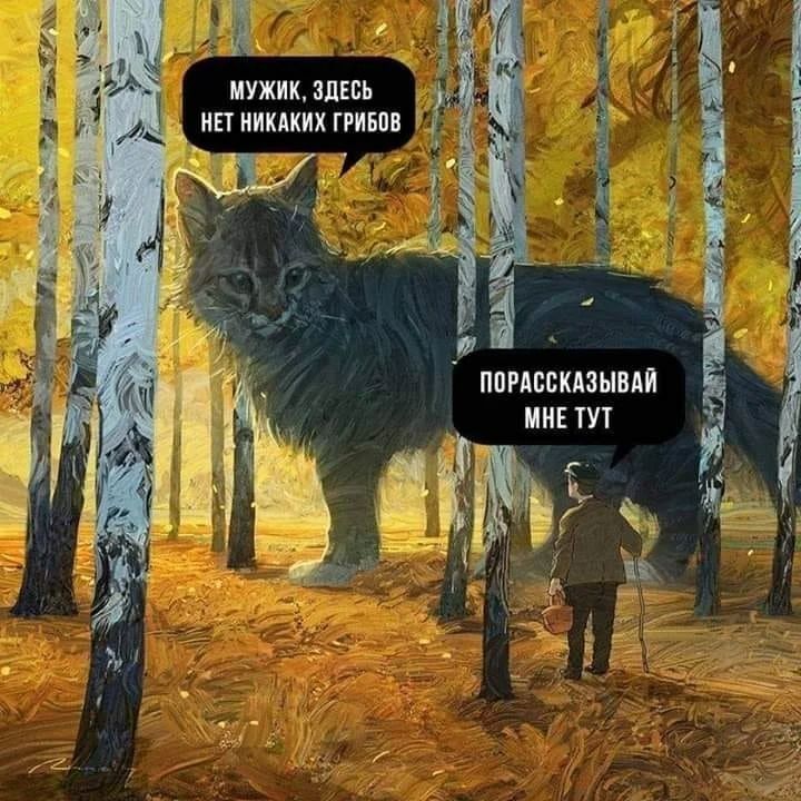 [Изображение: photo-2025-02-07-09-56-49.jpg]