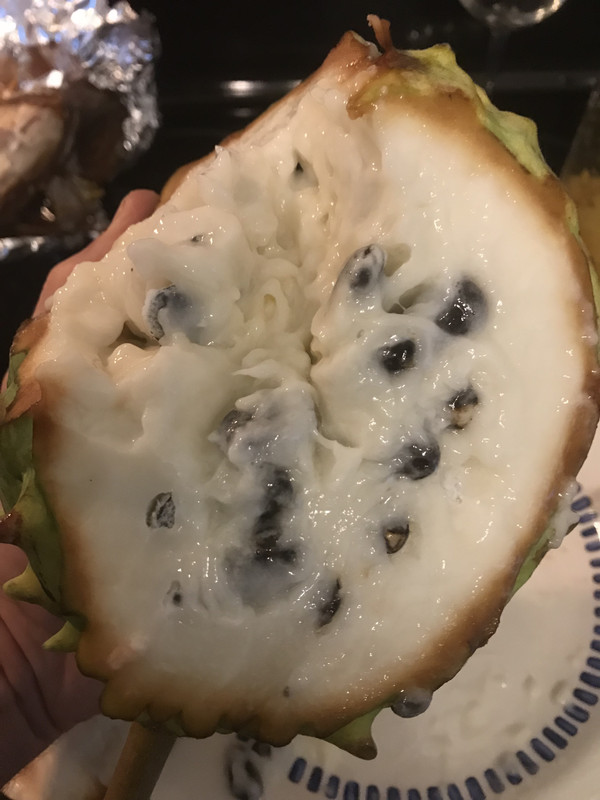 RolliniaBigin2018
