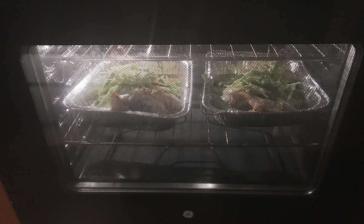 A239BB0D-58D0-4641-BAD5-4AE9634B5495