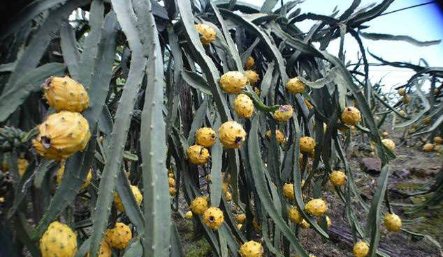 125502lby9p1cau4h89hc4_副本