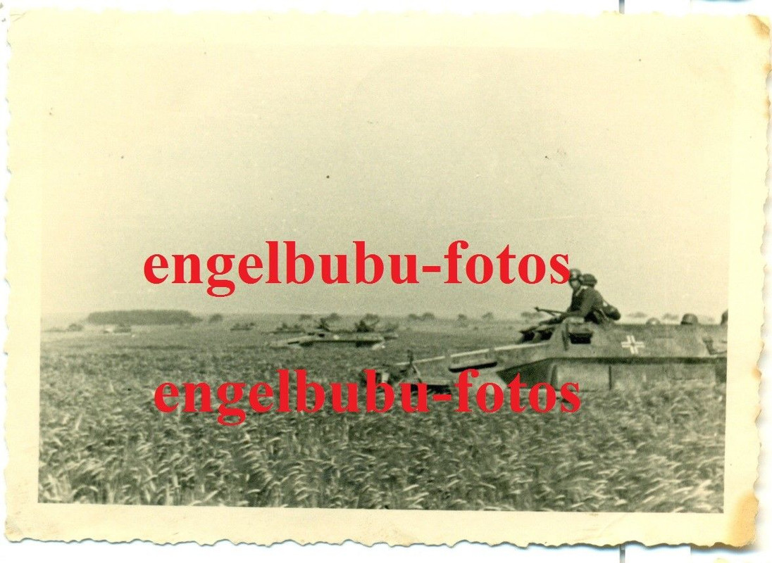 FOTO - Inf.Regt.95 (17.I.D.) - SCHÜTZEN-PANZER - SdKfz - Schlach