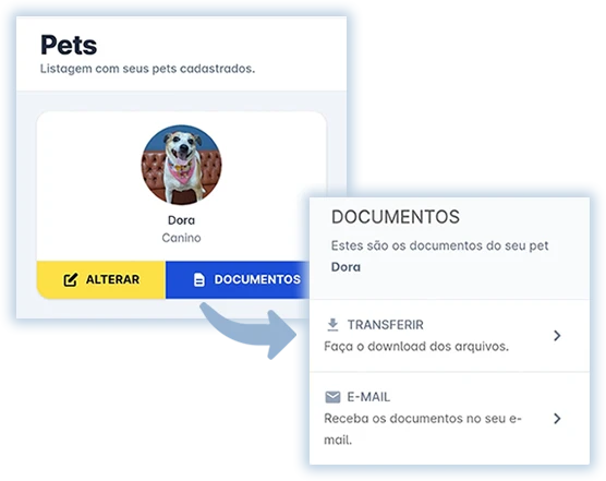 Tela de Solicitar Documentos