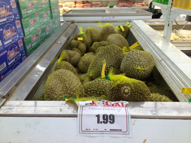 photo 4 (2)