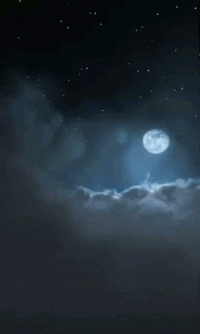 [Изображение: NAts.gif]