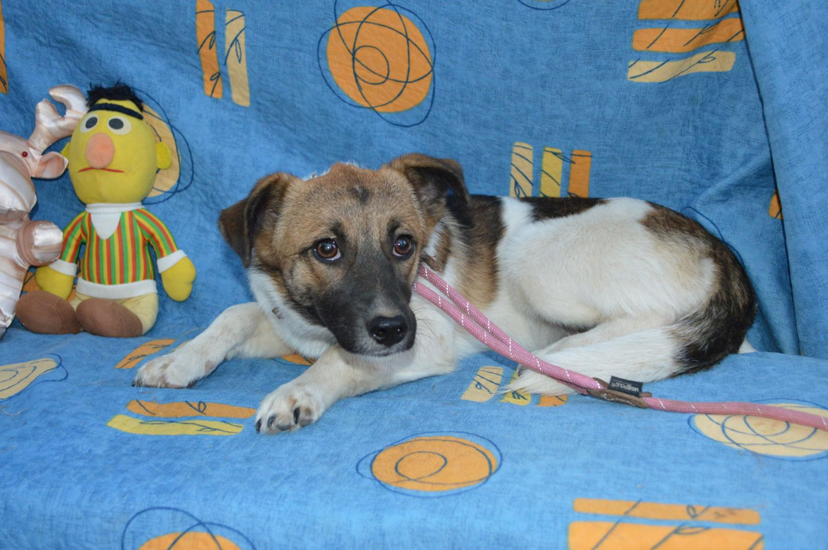 IMG-b176177bd821cd9edaa190a38100ad90-V