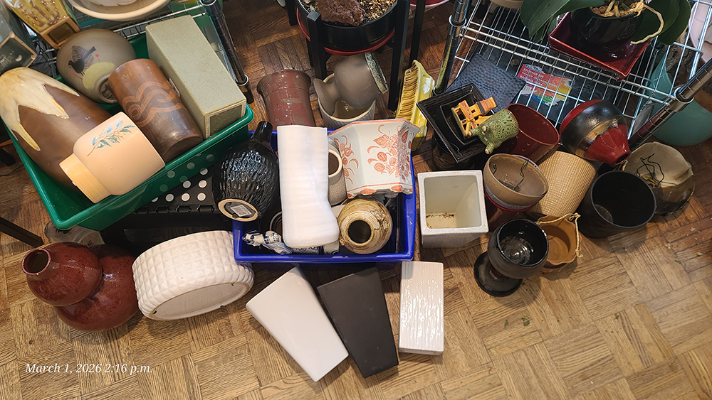 [Image: 20260301-141629.jpg]