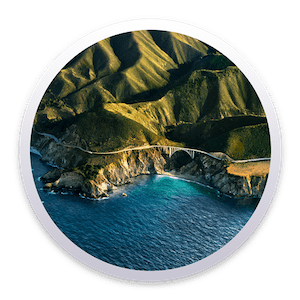 Macos Big Sur v11.6 (20G165) (Image for VMWare)