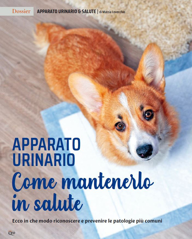 QuattroZampe Set 2023 (5)