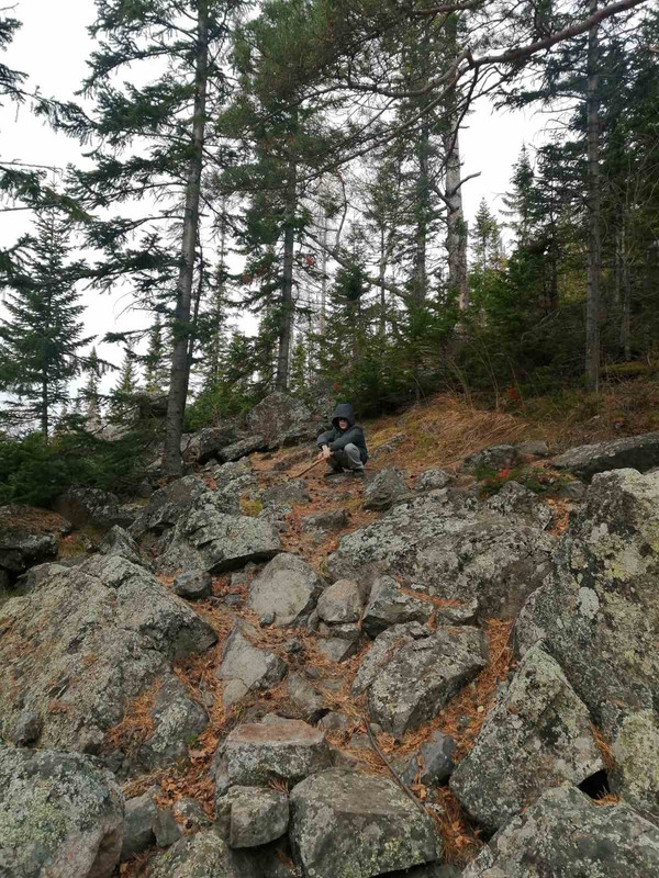 IMG-bb5494c5b8ce2c86354b304b78de3b84-V