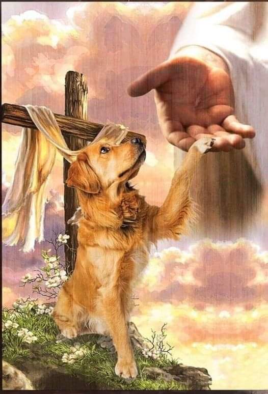 [Image: FB-IMG-1688555663436.jpg]