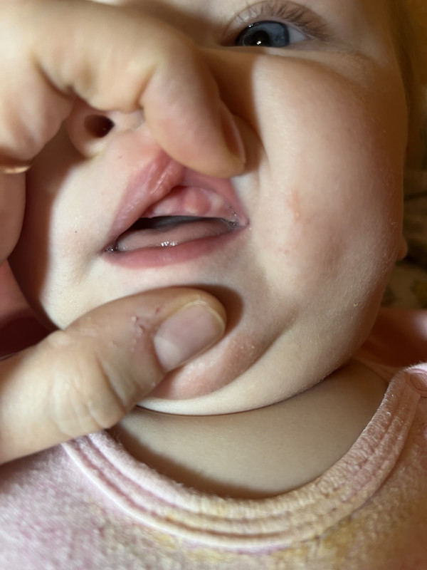 3712F378-5CD1-42D8-91E5-C9591945E98D