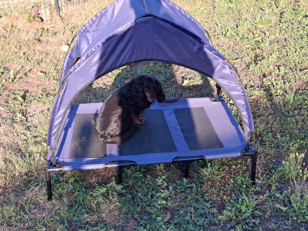 [Image: IMG-20250708-WA0009.jpg]