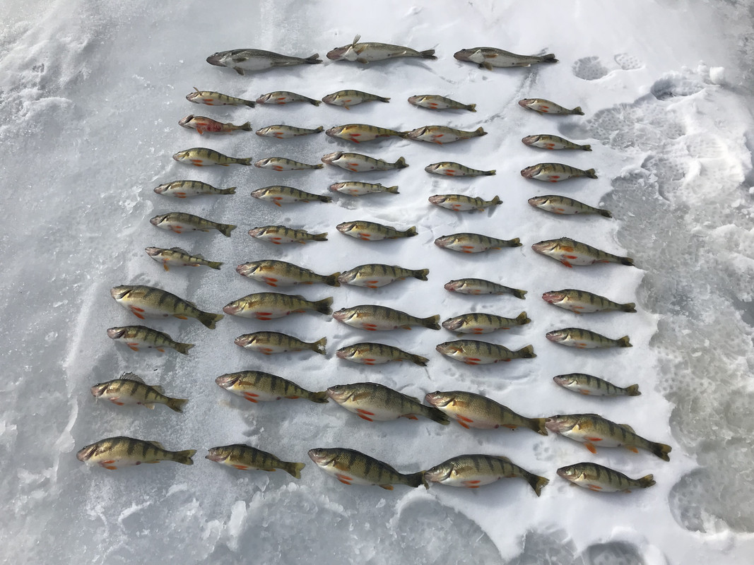 EE8A2A90-39B9-40F0-9B50-FAF29093425C