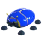 Giant Blue Scarab