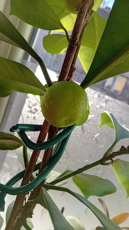 427710332_10228187877899559_6902005316853317204_n