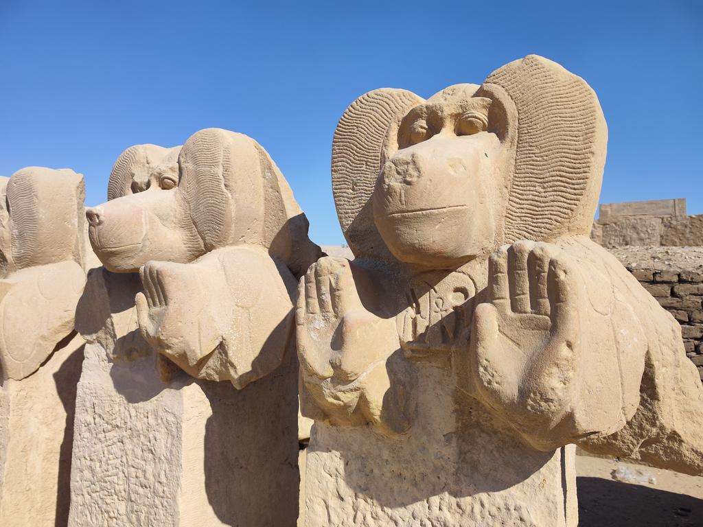 Ленивый Египет (Хургада, Луксор, Каир), декабрь 2025 - январь 2026