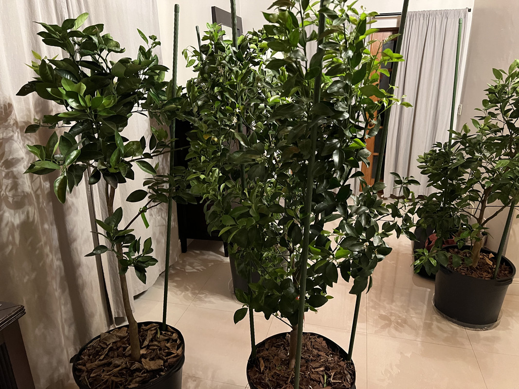 519AFD4A-179C-4C4B-AB14-F22D3BAB7557