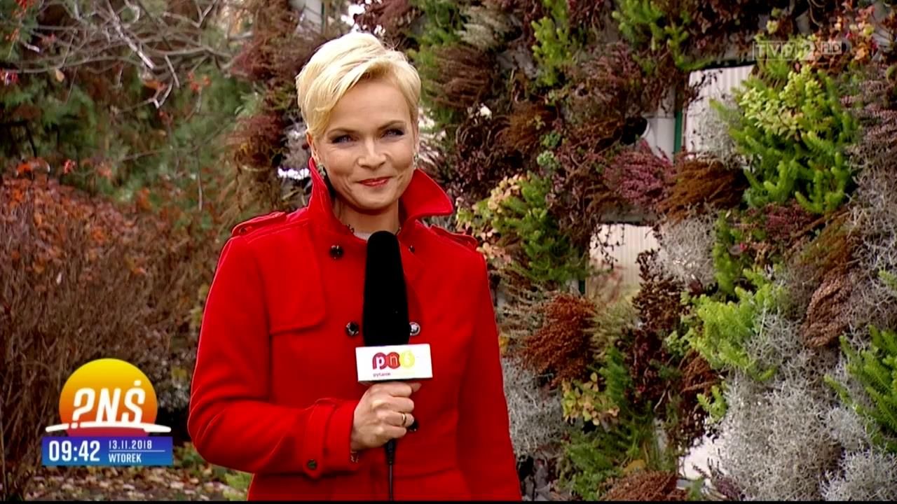 V0323_20181119_124813.mp4_snapshot_06.14_[2018.12.01_09.53.24]