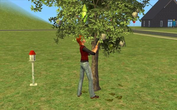 Lakewood_round3_033-600x375