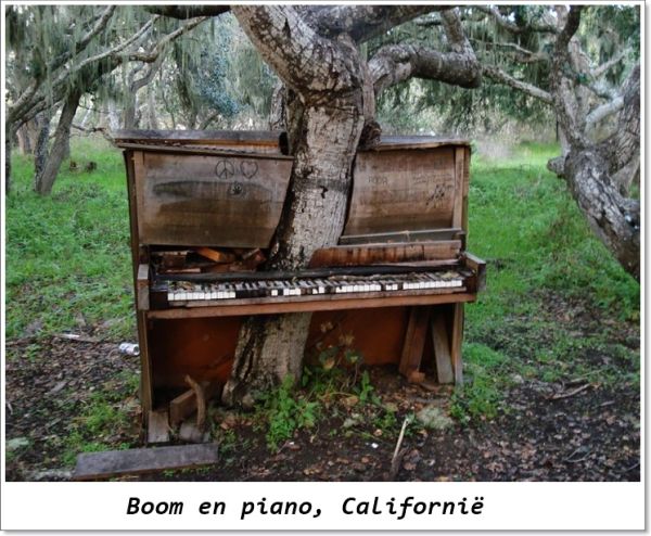 piano-calofornie