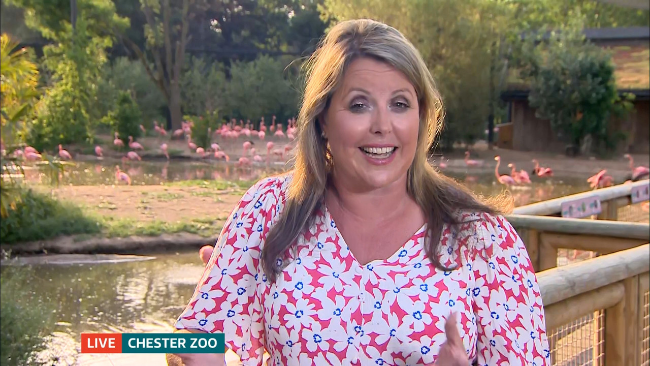 ITV Evening News_20220718_18301930.ts_snapshot_44.13.405