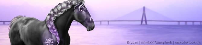 Me-banner.png