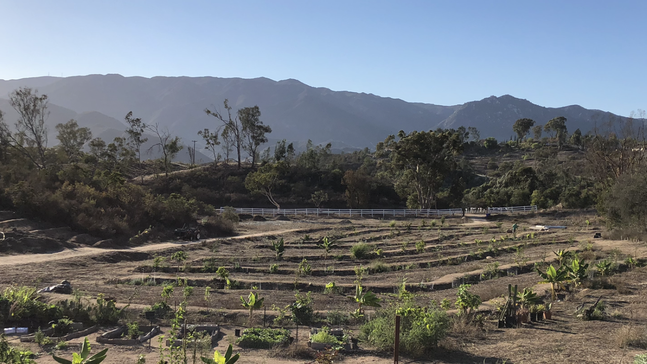 D1B510F0-6F9B-4895-9FC5-BD6A7D1DF791