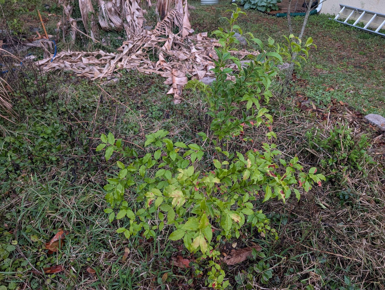 PXL 20260305 230348810