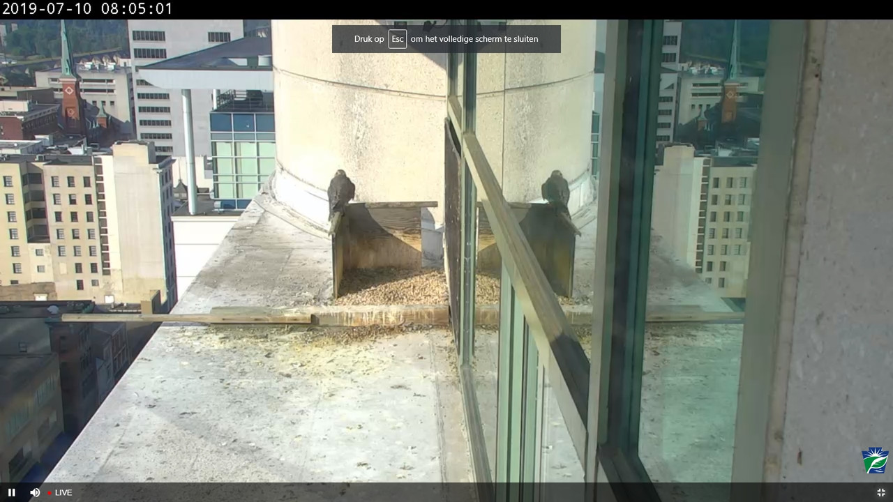 capture_10072019_140653