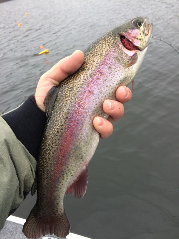 3FA6D72B-04C2-4A7C-BA05-0C003B94D8BF