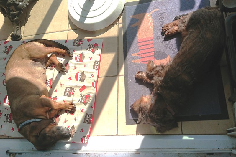 [Image: DSC-4086.jpg]