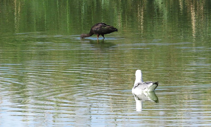 WhatsApp Image 2025-10-07 at 19.48.56_c9101f69