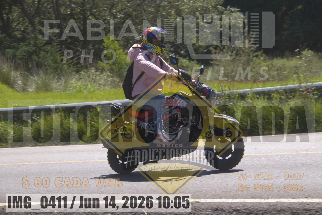 IMG 0411