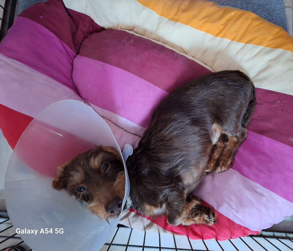 [Image: 20240713-210413.jpg]