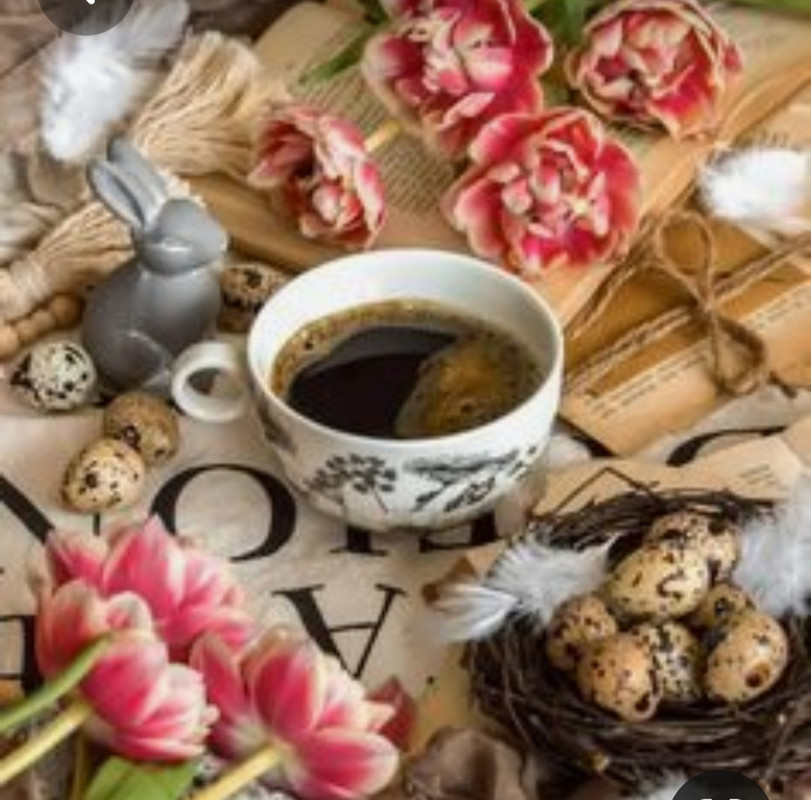 Screenshot_20230312_004930_Pinterest