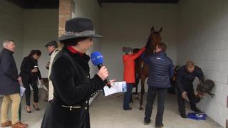 PUNCHESTOWN20190430-181008.jpg