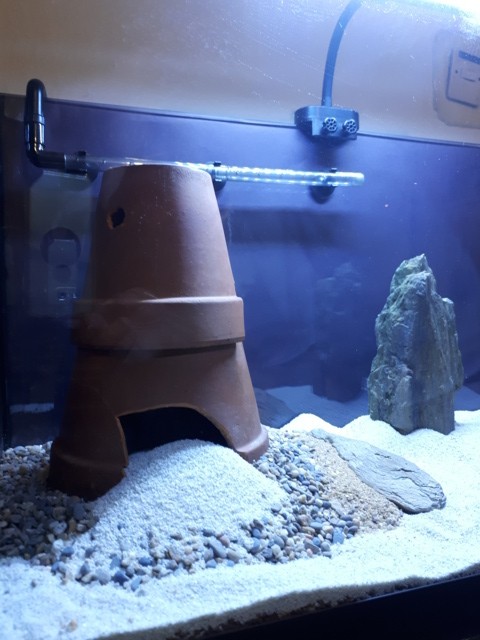 20190721_213807 (FILEminimizer)